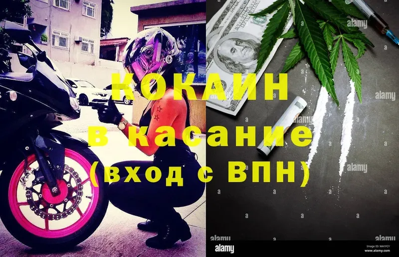 сколько стоит  Тырныауз  COCAIN VHQ 