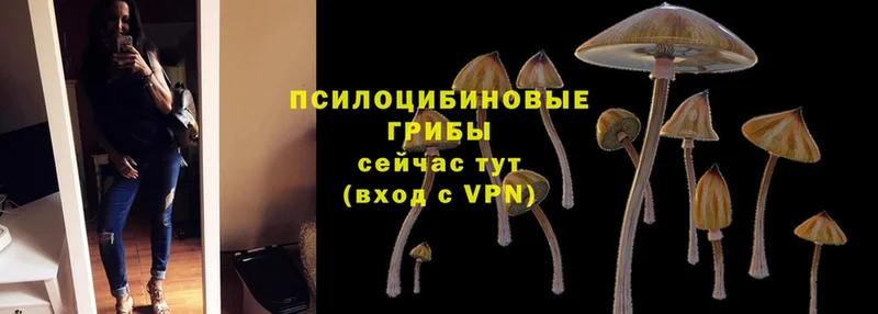 Псилоцибиновые грибы Magic Shrooms  Тырныауз 