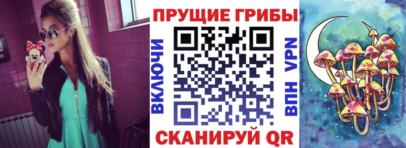 Галлюциногенные грибы ЛСД  Тырныауз 